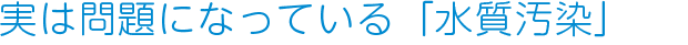 実は問題になっている「水質汚染」